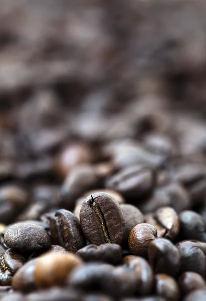 Grains de café - Bokeh — Photo