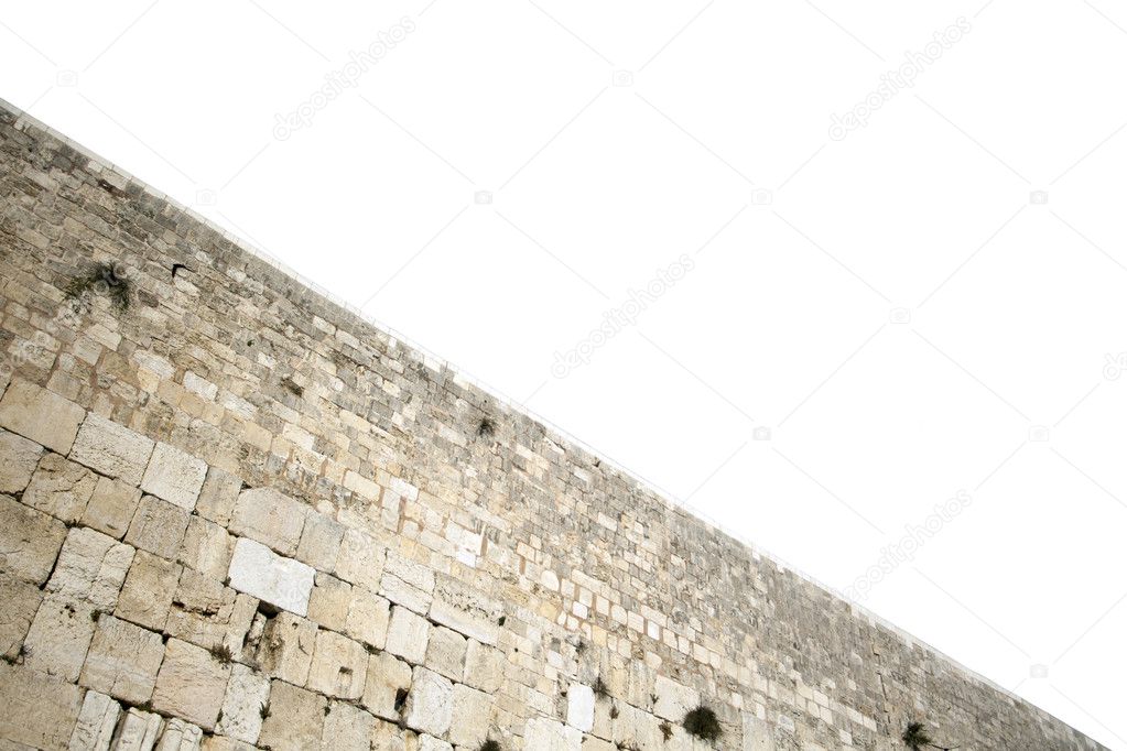 Bird above the Wailing Wall