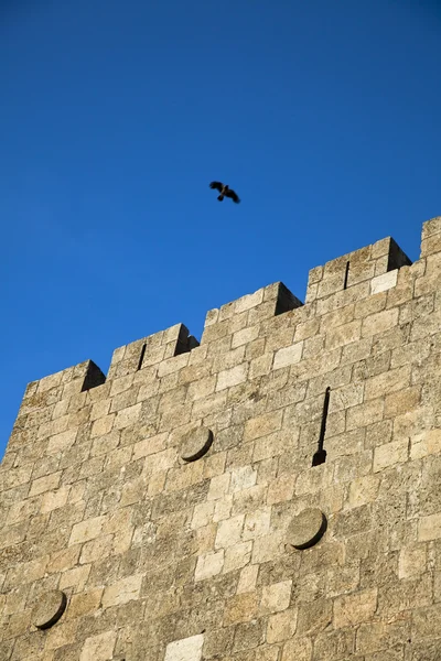 Muro della Città Vecchia Gerusalemme — Foto Stock