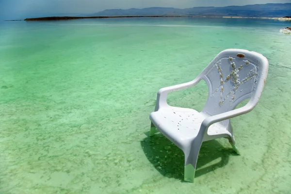 Легкая стрижка на Мертвом море — стоковое фото