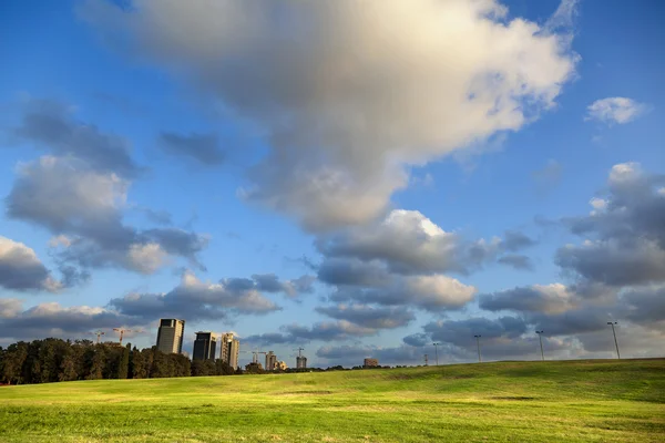 Park and Buildings — Stock Photo, Image