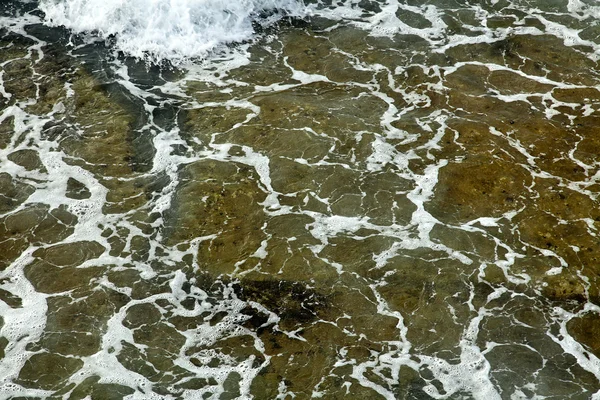 Mare zampillante — Foto Stock