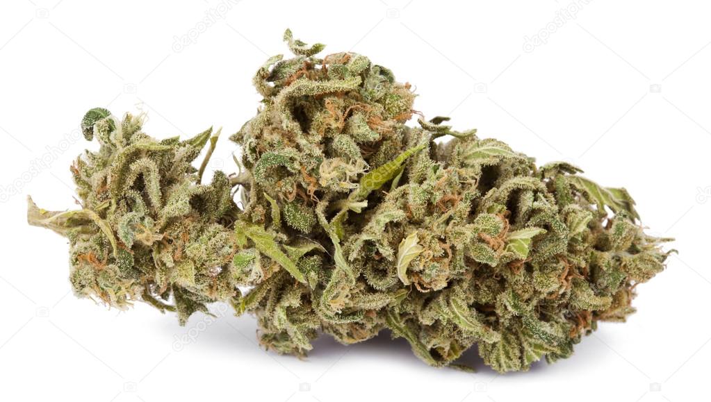 Isolated Cannabis Bud