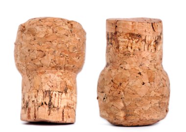 izole şampanya mantar