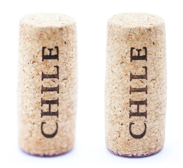 Wine cork — Stock Photo, Image