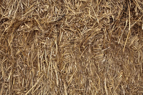 バック グラウンド干し草のベール — ストック写真