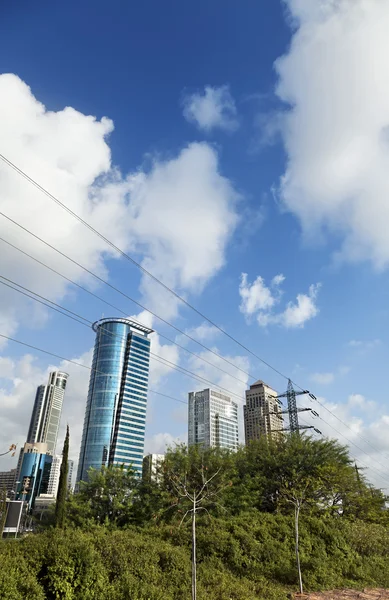 Downtown Atrás de um Bush — Fotografia de Stock