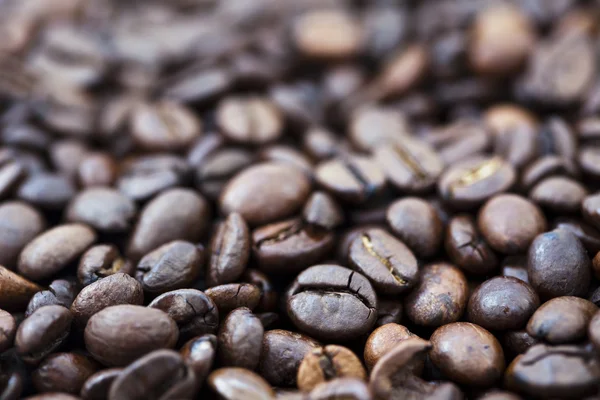 Coffee Beans Background — Stock Photo, Image