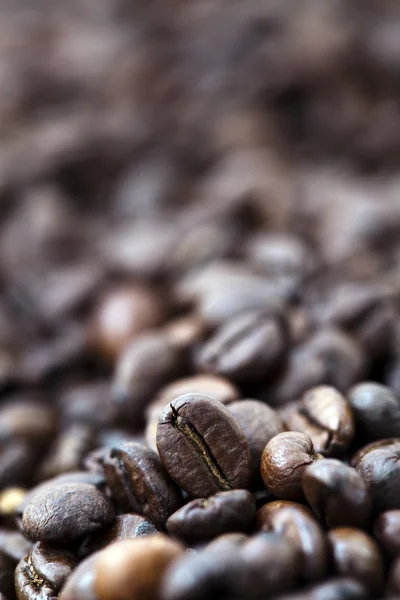 Coffee Beans - Bokeh — Stock Photo, Image