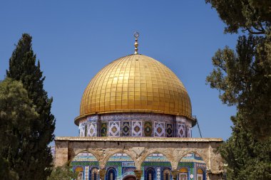 ağaçlar arasında kaya kubbe