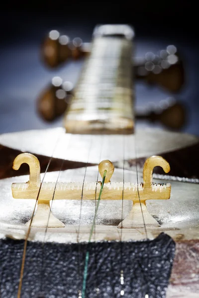 Persian Tar Detail — Stock Photo, Image