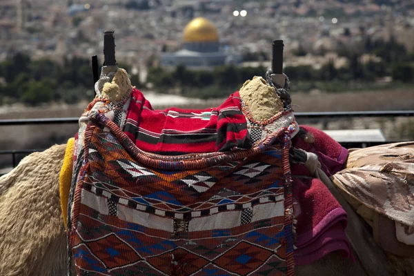 Camel Hump & Dome of the Rock — Stock Photo, Image