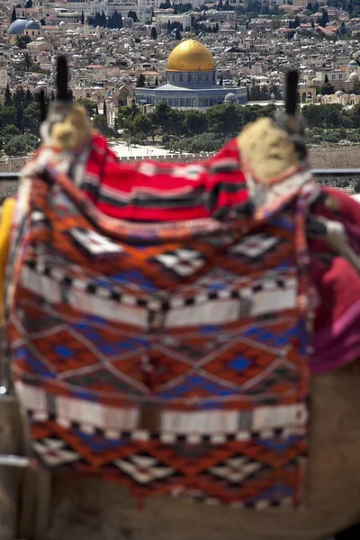 Camel Hump & Dome of the Rock — Stock Photo, Image