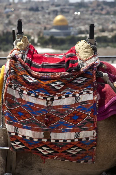 Camel Hump & Dome of the Rock — Stock Photo, Image