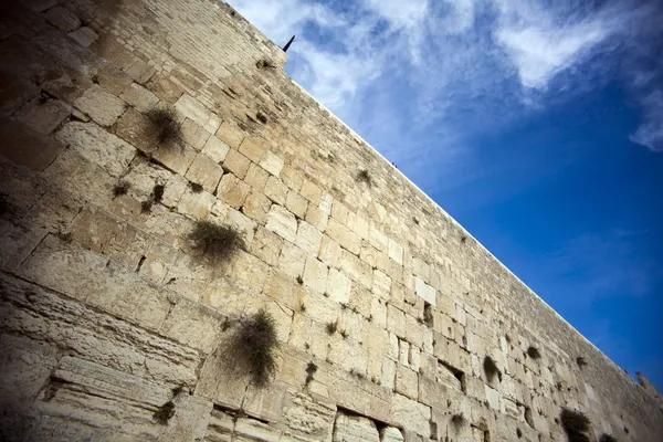 El Muro de los Lamentos — Foto de Stock