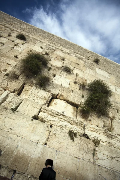 Praying at the Wailing Wall — Stock Photo, Image