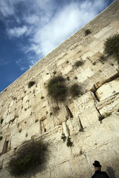 Praying at the Wailing Wall — Stock Photo, Image