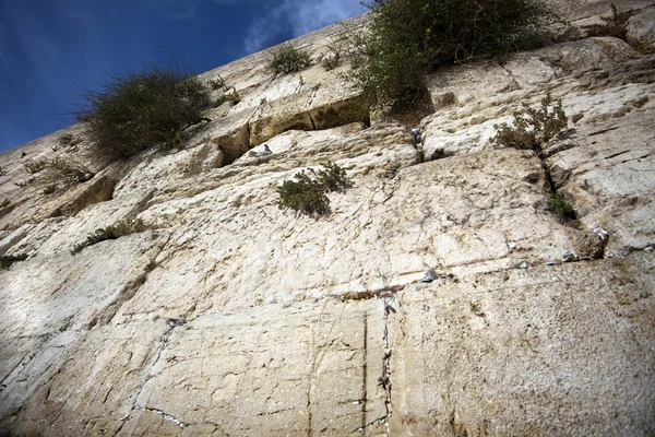 Il muro del pianto — Foto Stock