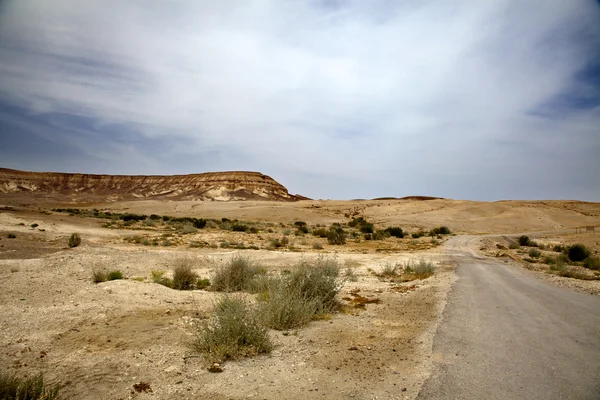 沙漠之路 — 图库照片