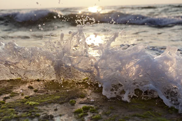 海藻の岩の上を破り波 — ストック写真