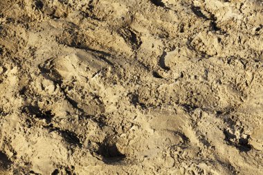 kum plaj yakın çekim