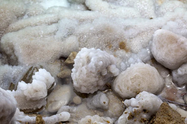 Ölü Deniz kıyısında tuzlu kümeleri — Stok fotoğraf