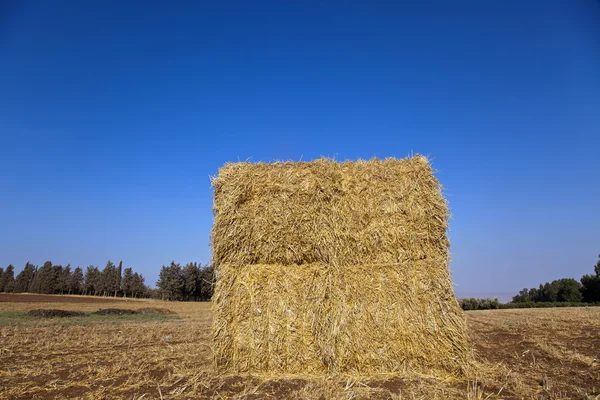 Bal med hö i ett fält — Stockfoto