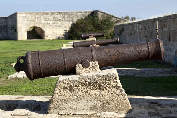 Napoleon's Cannons — Stock Photo, Image