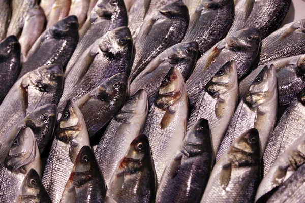 販売のための魚 — ストック写真