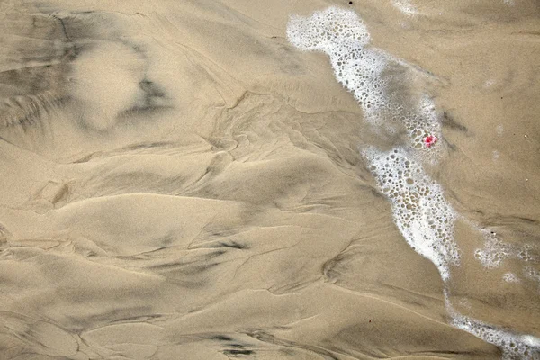 Surf de secagem na areia molhada — Fotografia de Stock