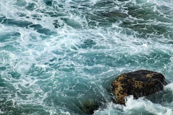 Fışkıran deniz — Stok fotoğraf