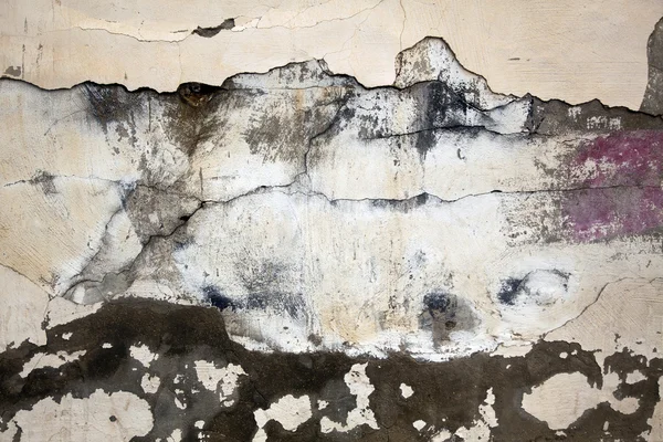 Neglected Wall — Stock Photo, Image