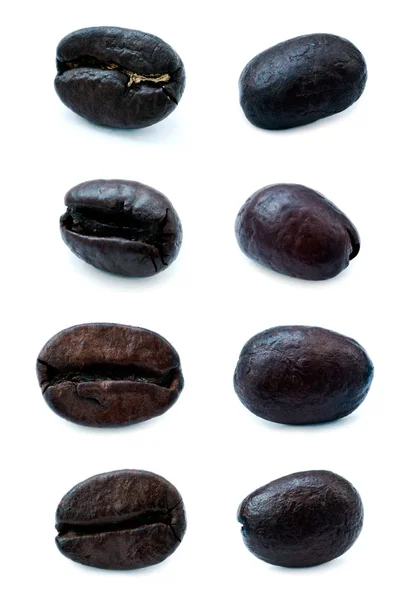 Divers grains de café — Photo