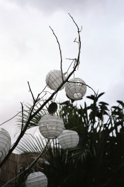 Oriental Paper Lanterns on a Tree clipart