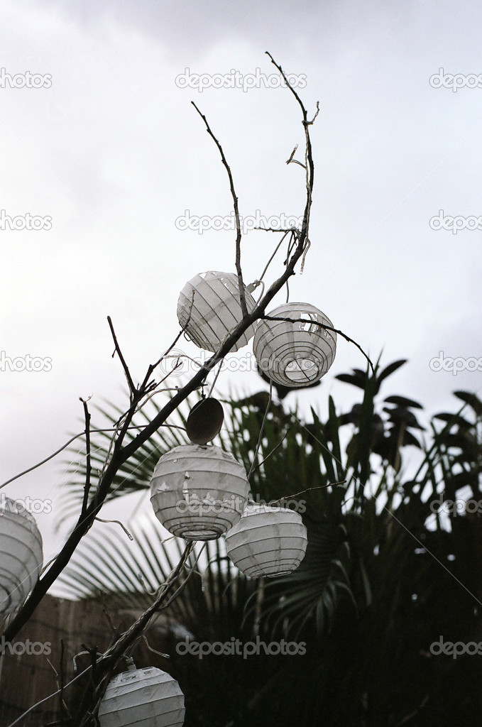 Oriental Paper Lanterns on a Tree
