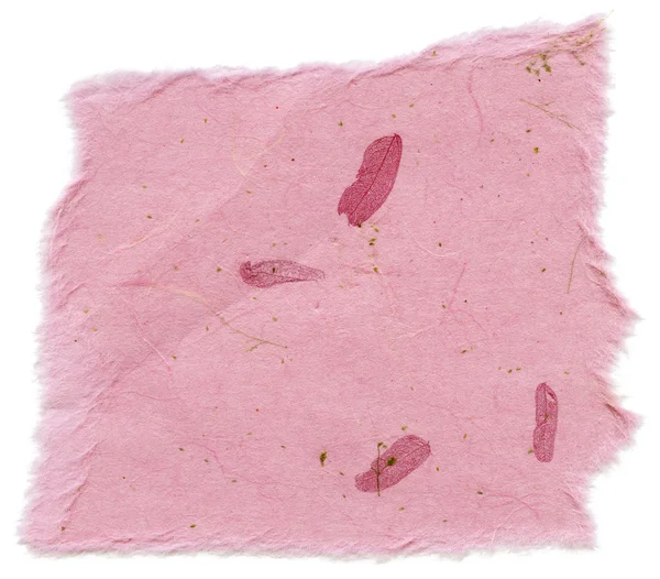 Isolated Rice Paper Texture - Plants Pink XXXXL — Stock Photo, Image