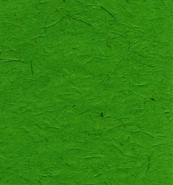 Texture papier de riz - Inde Vert XXXXL — Photo