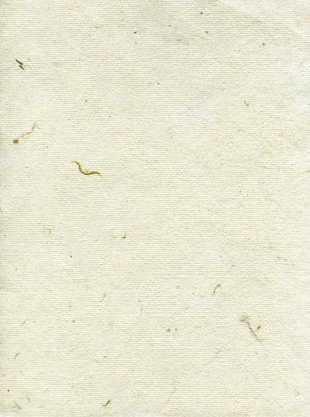 Texture di carta di riso - bianco crema XXXXL — Foto Stock