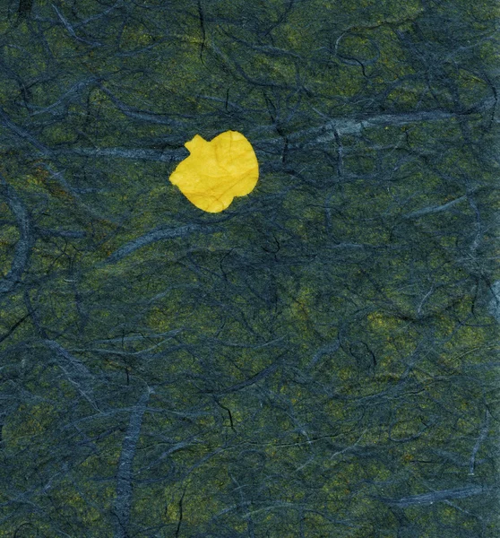 Texture papier de riz - Jaune Fruit Vert XXXXL — Photo