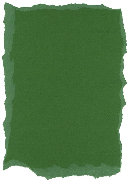 Geïsoleerde vezel papier texture - fern groene xxxxl — Stockfoto