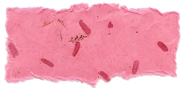 Textura isolada de papel de arroz - Plantas Rosa XXXXL — Fotografia de Stock