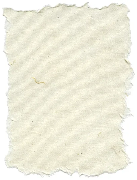 Texture isolée de papier de riz - Blanc crème XXXXL — Photo