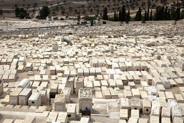 Jewish Cemetary — Stock Photo, Image