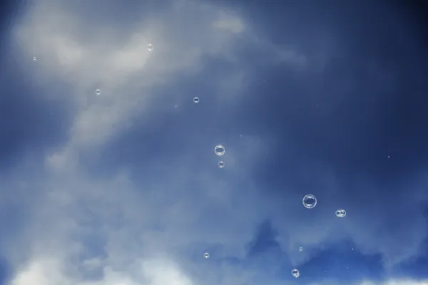 Soap sud bubbles floating in the air on the background of aftern — Stock Photo, Image