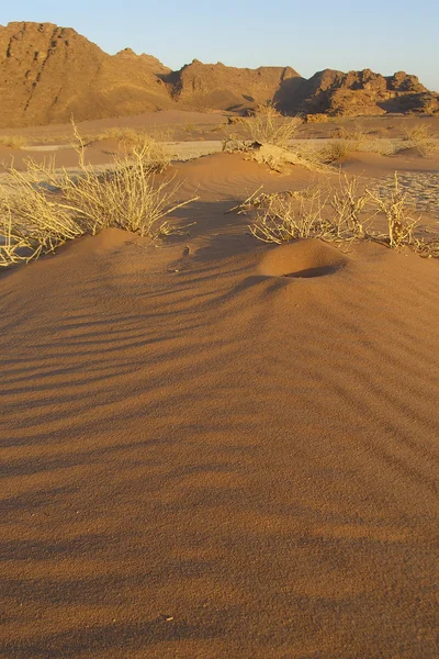 Mini Sand Dune — Stock Photo, Image