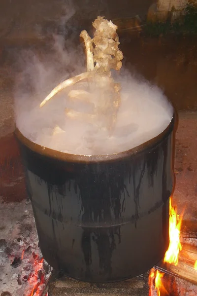 Cucinare lo scheletro — Foto Stock
