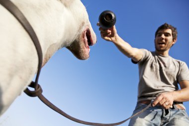 köpek ve eğitici oyuncak gerginlik çiğnemek