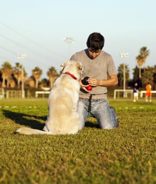 Labrador köpek ve antrenör Park çiğnemek toys ile