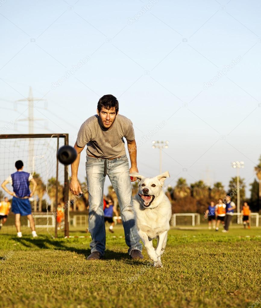 Labrador and Trainer with Dog Chew Toy at Park