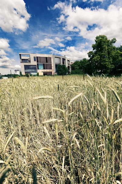 Arquitectura posmoderna detrás del campo de trigo — Foto de Stock